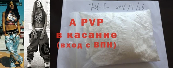 ГАЛЛЮЦИНОГЕННЫЕ ГРИБЫ Богданович