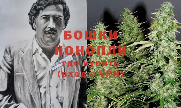 ГАЛЛЮЦИНОГЕННЫЕ ГРИБЫ Богданович
