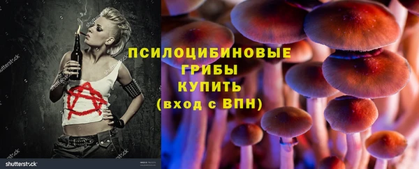 ГАЛЛЮЦИНОГЕННЫЕ ГРИБЫ Богданович